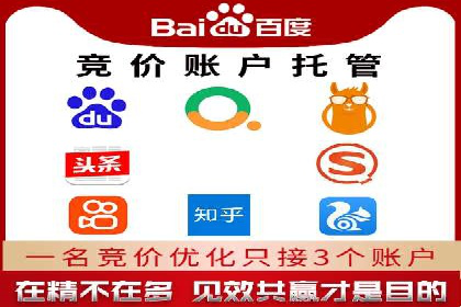 专业网站SEM托管服务案例展示